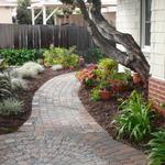 Pavers define the path area running through the front yard. Note the low water use plantings from Australia and South Africa (among others).