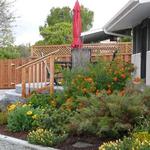 The Trex deck is accented with a redwood hand rail that matches the fencing beyond.