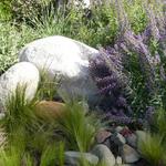 Whispy grasses soften, rounded boulders and the Mediterranean plant material suggest a stream's edge. 