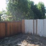 This back corner is the prime rear view from the bar-b-que area as well as the outdoor eating spot and the kitchen. It needs help!